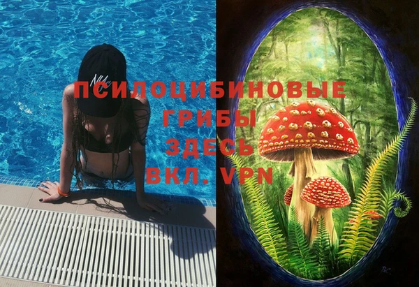 прущая мука Белокуриха
