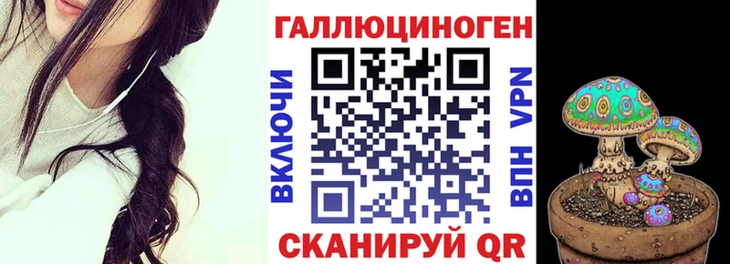Псилоцибиновые грибы Psilocybine cubensis  kraken ссылки  Слюдянка 